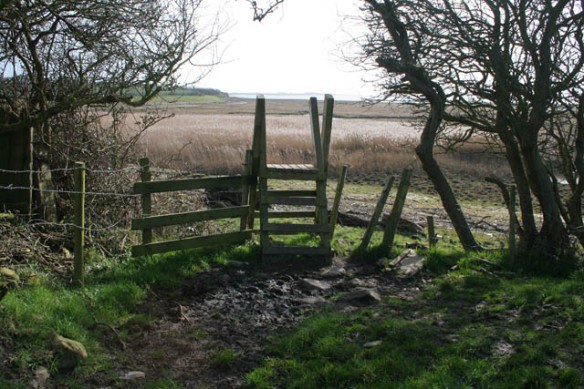 Step-ladder_stile_-_geograph.org.uk_-_1208202 by Kate Jewell